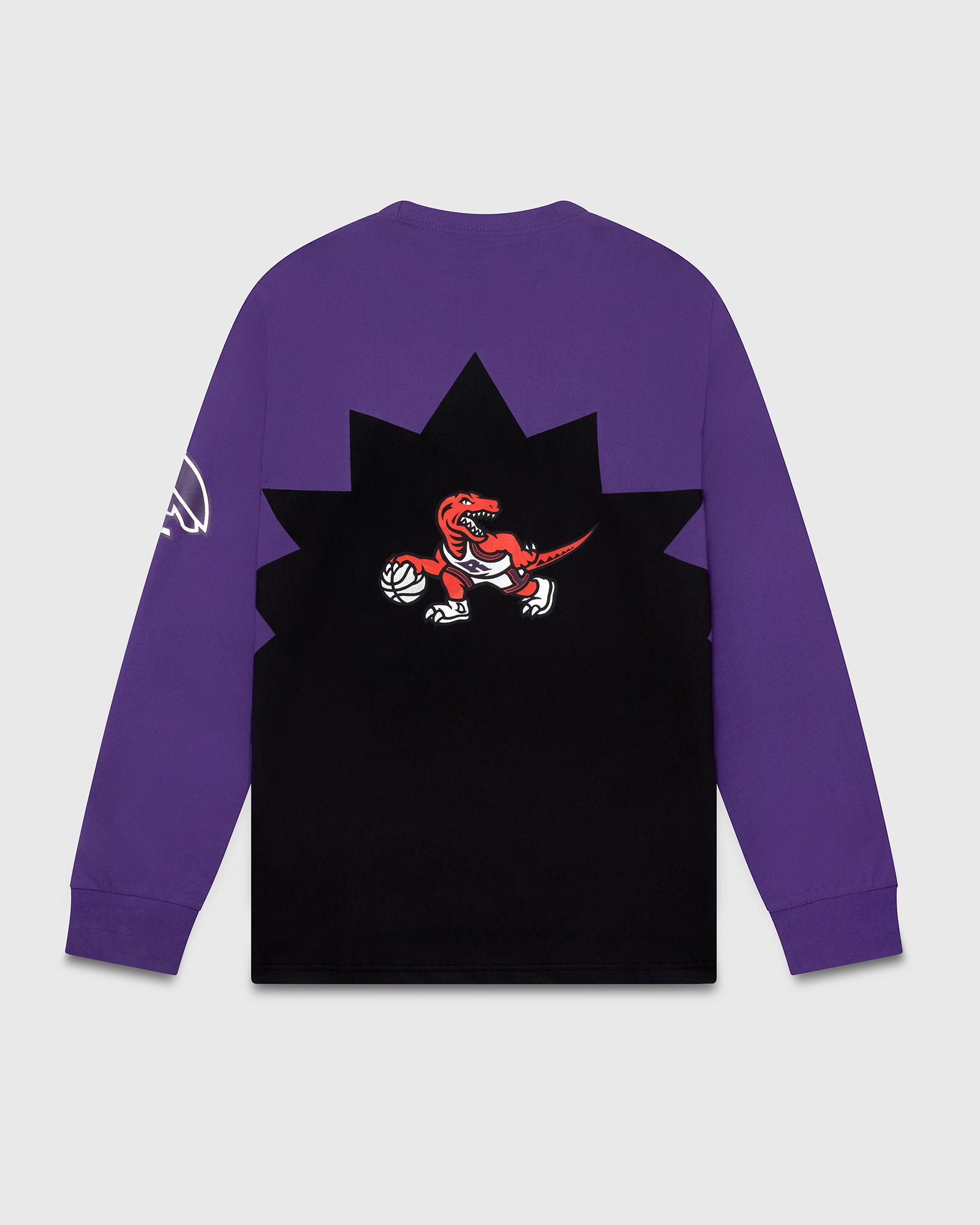 purple raptors tee