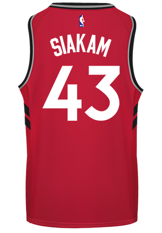 Raptors Nike Men's Swingman Icon Jersey 