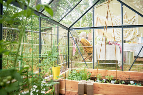 modest transitions greenhouse in backyard with owner