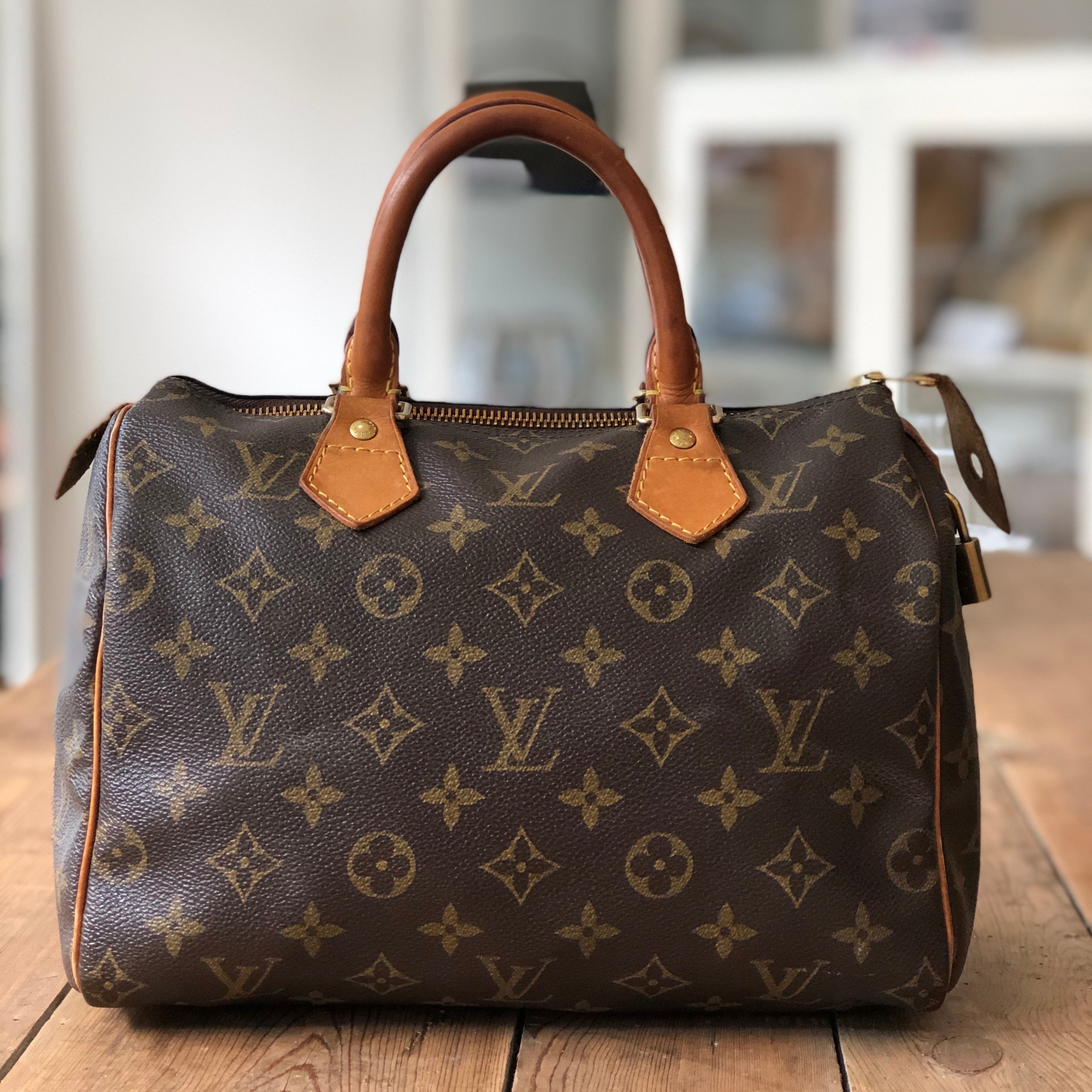 Lv Bags For Women 2021  Natural Resource Department