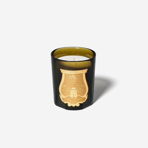 Fornasetti Scented Burlesque Candle (Gold) – Cicada