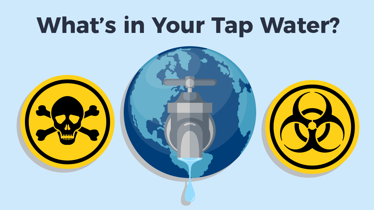 What's in your tap water 