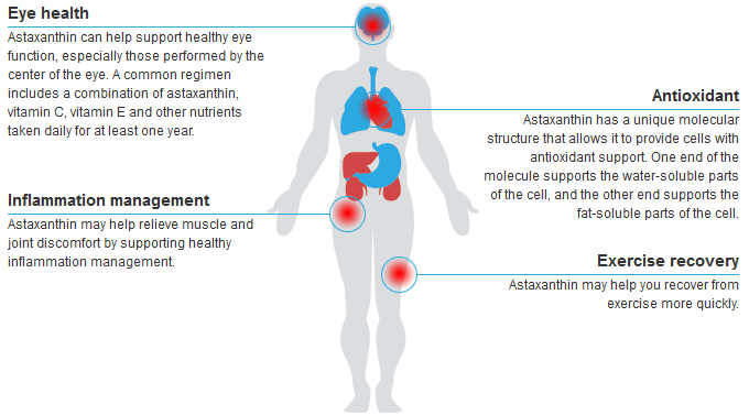 The main benefits of Astaxanthin supplements