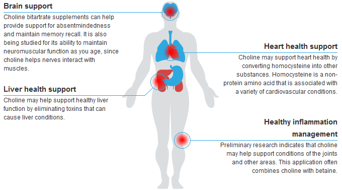 choline benefits, benefits of choline, choline health benefits