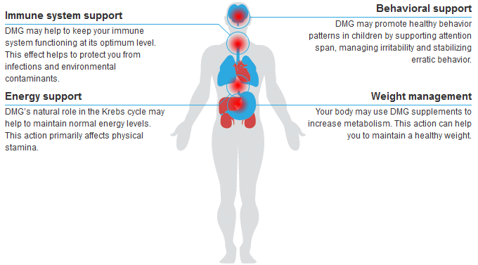 dmg supplement, immune response, immune system, chronic fatigue syndrome