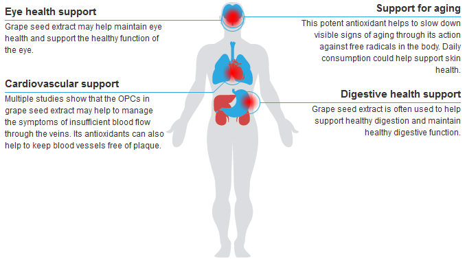 grape seed extract benefits, grape seed extract, grape seed, chronic venous insufficiency