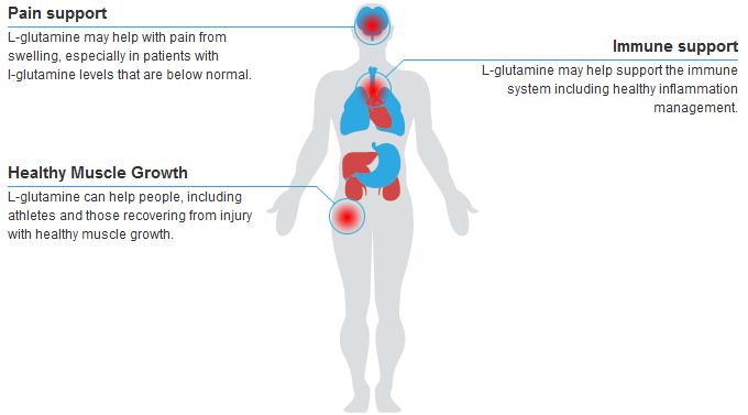 Image result for glutamine benefits