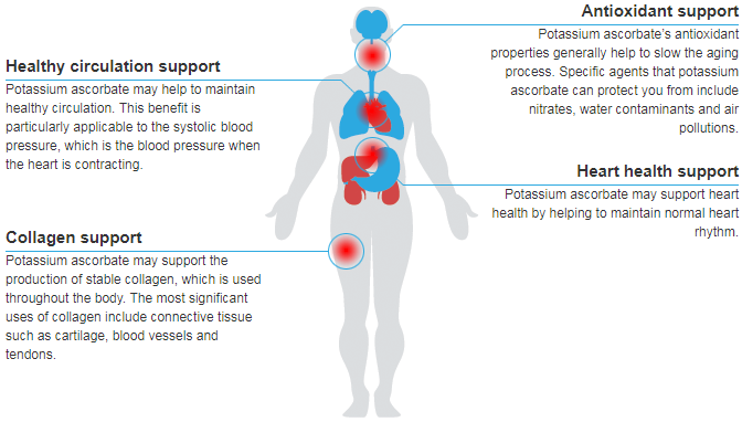 Potassium Ascorbate | Health Benefits of Potassium Ascorbate diagram of blood tissue 