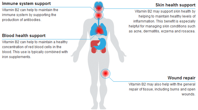 Vitamin B12 Dibencozide Health Benefits And Uses Of