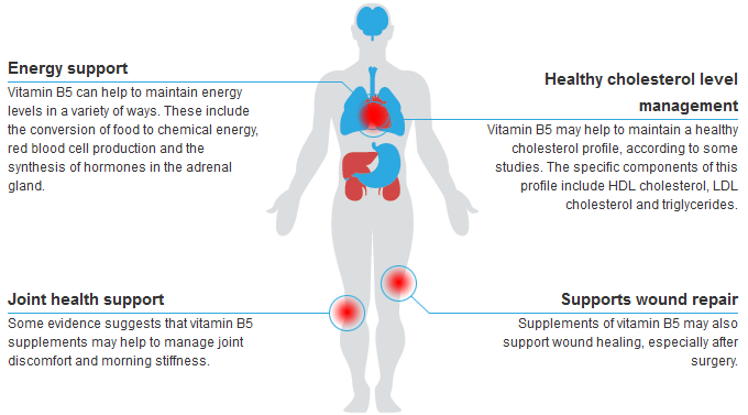 Vitamin B5 D Pantothenate Health Benefits And Uses Of
