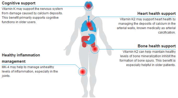 Vitamin K2 Health Benefits And Uses Of Vitamin K2