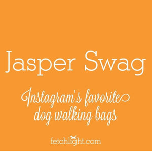 In the News - Fetchlight Blog Post About Jasper Swag