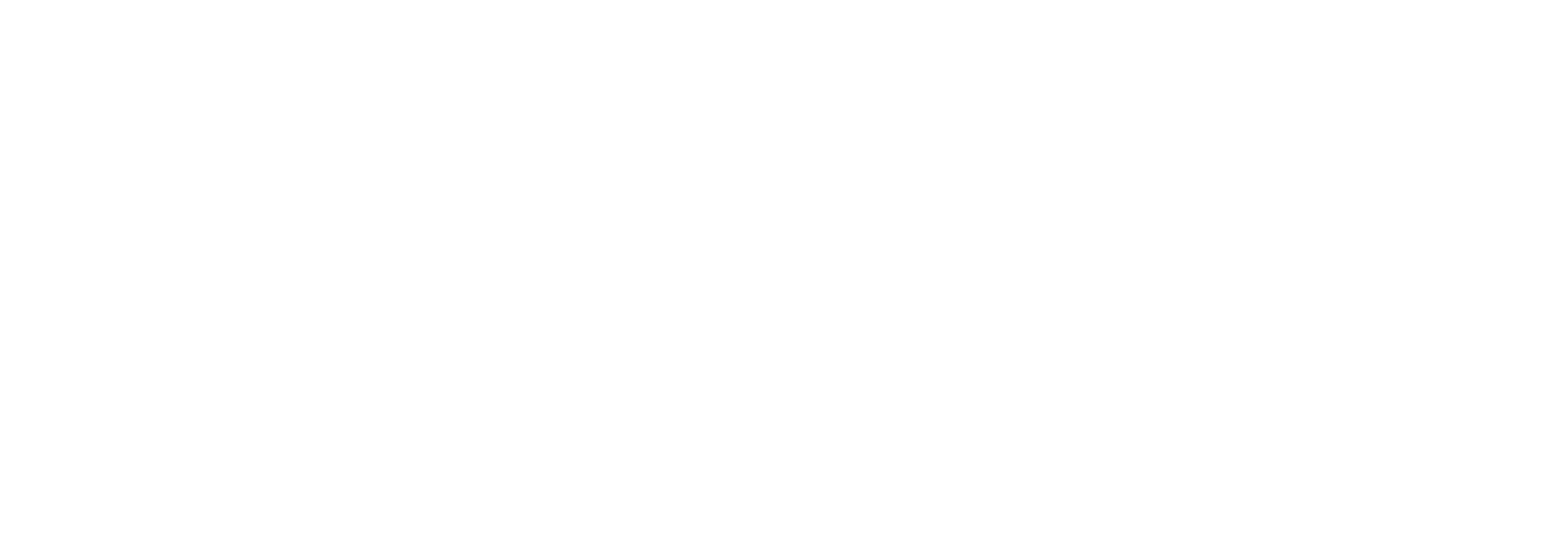 ISS logo