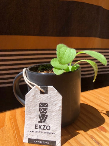 White tag in front of green plant growing out of black coffee cup