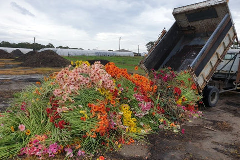 dump truck unloading flowers
