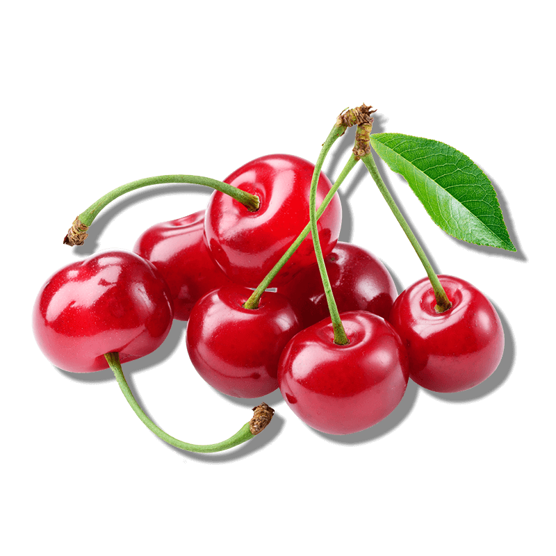 A bunch of bitter cherry fruits hero image