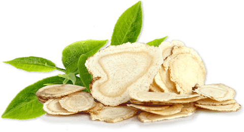 Slices of ginseng root with green tea leaves against a white background