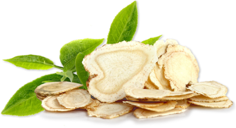 Slices of ginseng root with green tea leaves against a white background