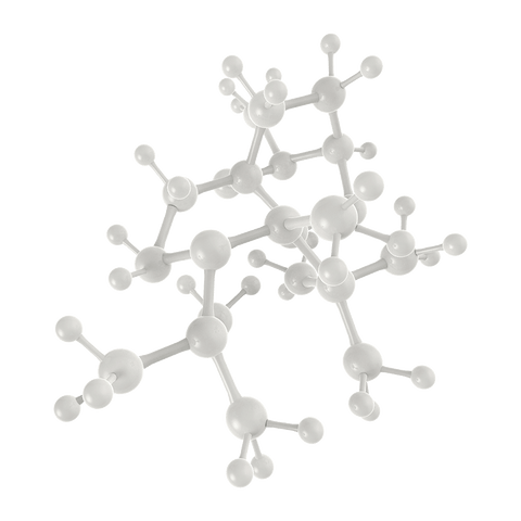 Molecular image of neuropeptides, short chains of amino acids linked by peptide bonds