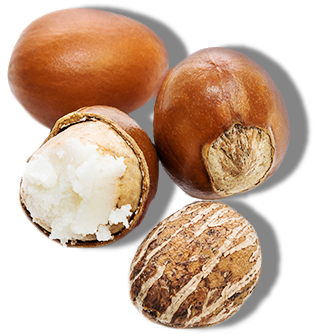 Four Shea Butter Nuts
