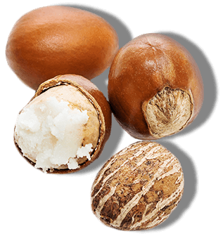 Four Shea Nuts with the nut in the middle split open and containing shea butter