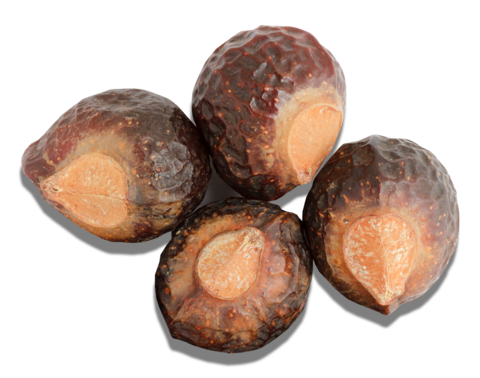 Four soapberry nuts