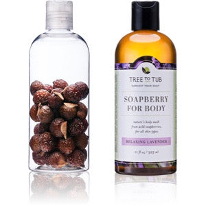 soapberry, tree to tub