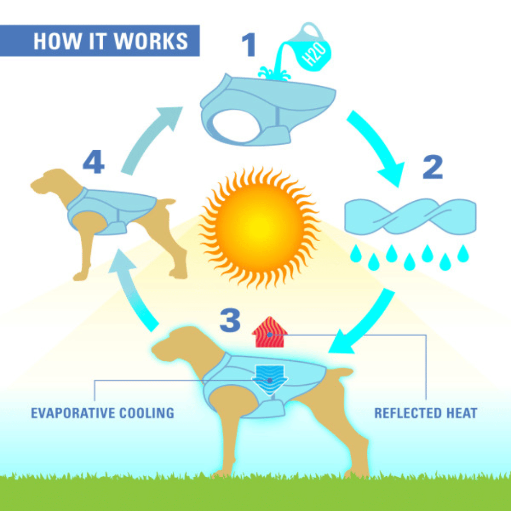 How the Kurgo Cooling Vest works