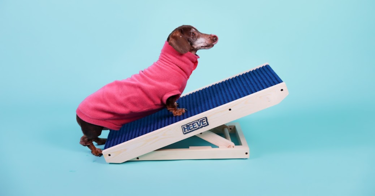 Heeve 'Up-Ya-Get' Wooden Dog Ramp For Beds & Couches - Small