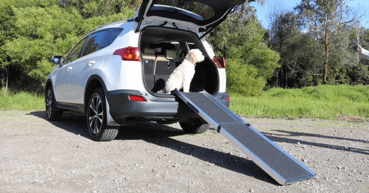 a medium-sized dog sitting in a car trunk with a Heeve ‘Up-Ya-Get’  Aluminium Dog Ramp - Standard Size 