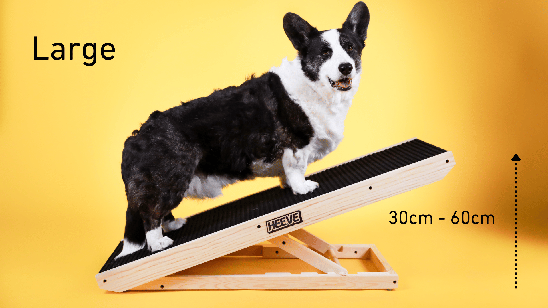 Large Heeve wooden dog ramp with corgi dog on a yellow backdrop