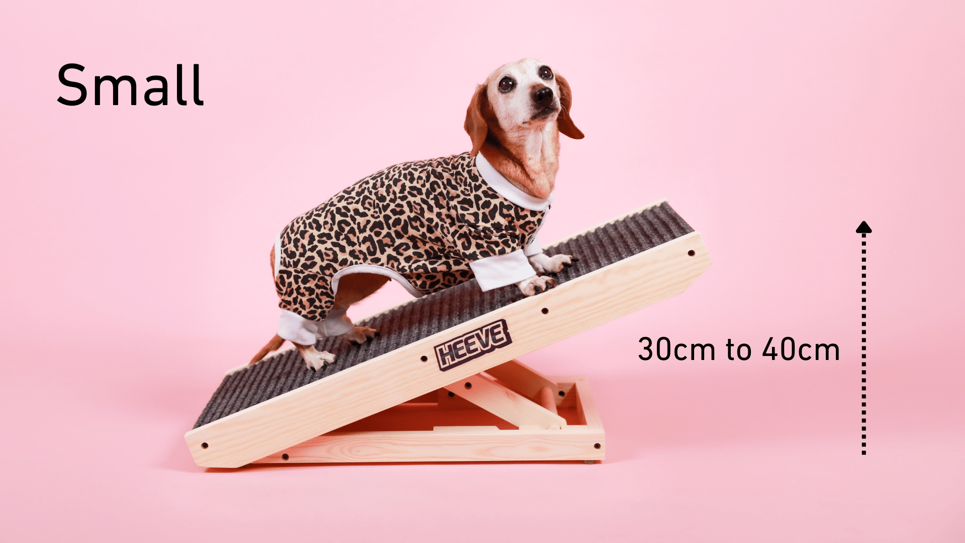 Small Heeve wooden dog ramp with dog on a pink backdrop