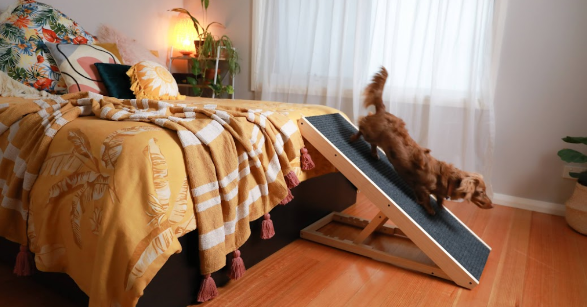 Dog using the Heeve Up-Ya-Get Wooden Dog ramp going down from a bed