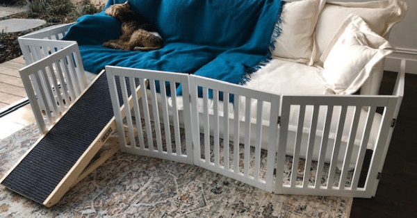 dog contained inside a fenced-in couch with a ramp