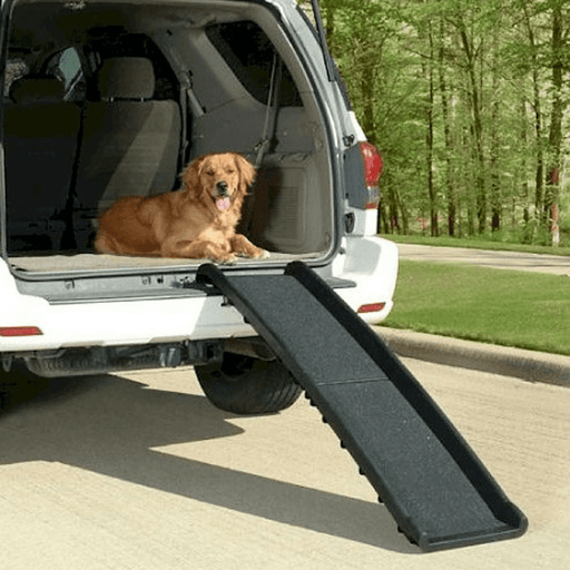 Dog Ramps - Australia'S Largest Range & Best Prices — Ramp Champ