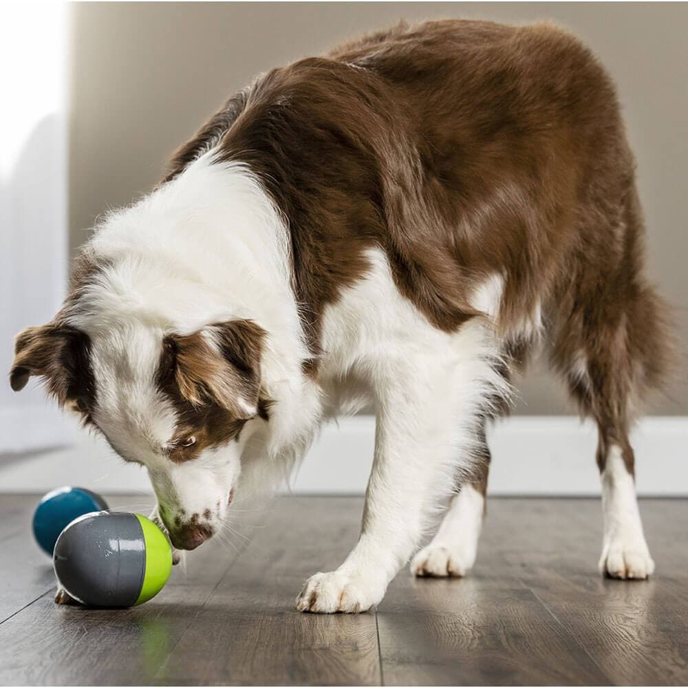 electronic interactive dog toys