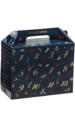 Imagination 12 Gins of Christmas 12 x 55ml