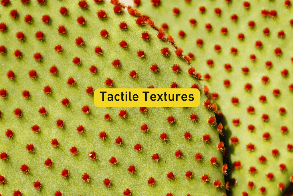 close up photo of a cactus texture