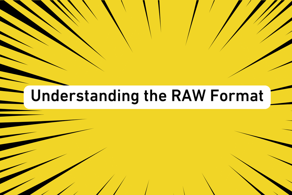 Understanding the RAW Format