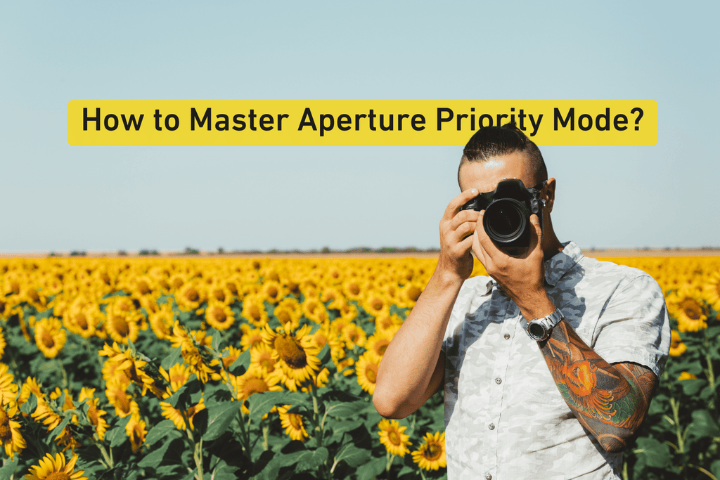 a male photographer in a sunflower field