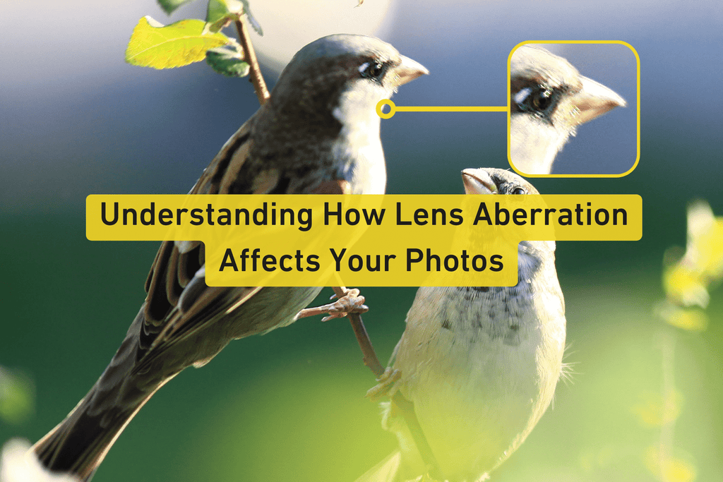 close up photo of two birds sitting on a branch