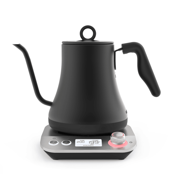 Kook Stovetop Gooseneck Kettle with Thermometer, 3 Ply Stainless Steel  Base, 27 oz, Black