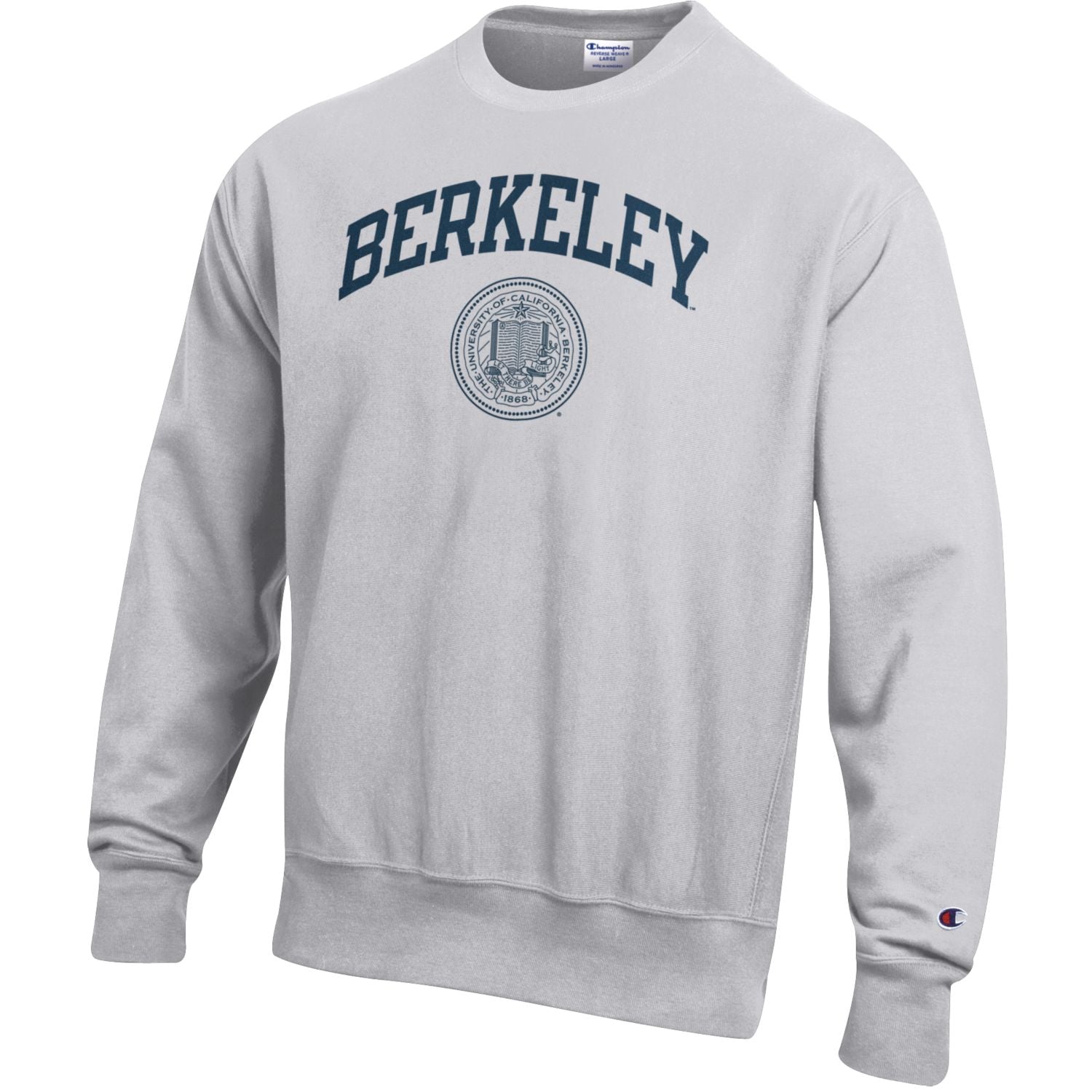 champion reverse weave college sweatshirts