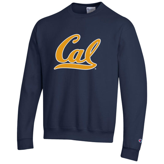 UCLA Script Applique Hooded Sweatshirt