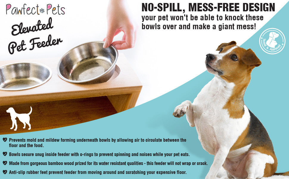 Elevated Dog Feeder - No Spill Dog Bowl - Eating Comfort