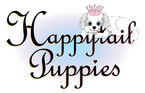 Yorkie Poo Puppies Happytail Puppies Family Dog Breeders In Nc