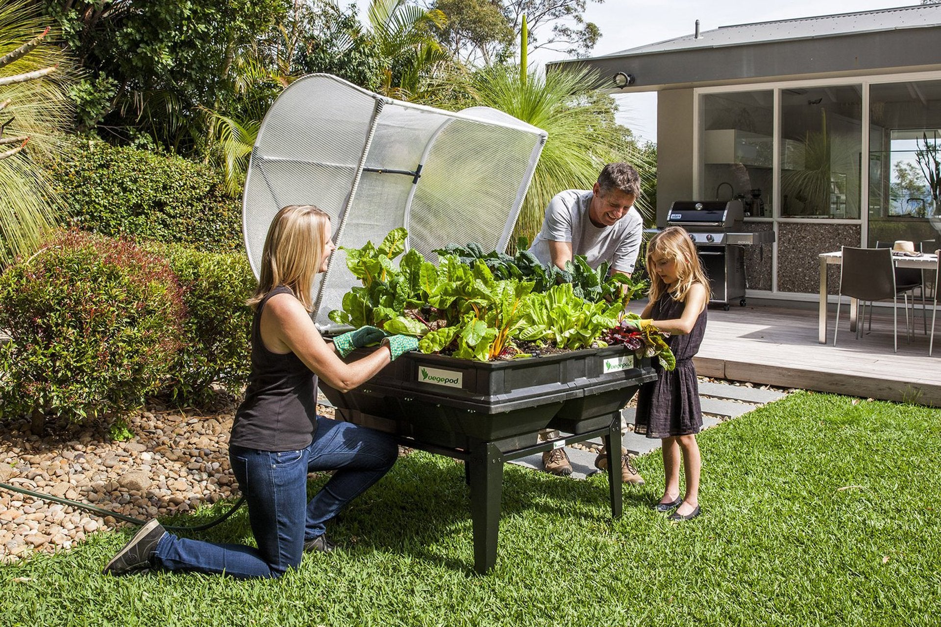 Vegepod Medium Raised Garden Bed With Cover Self Watering