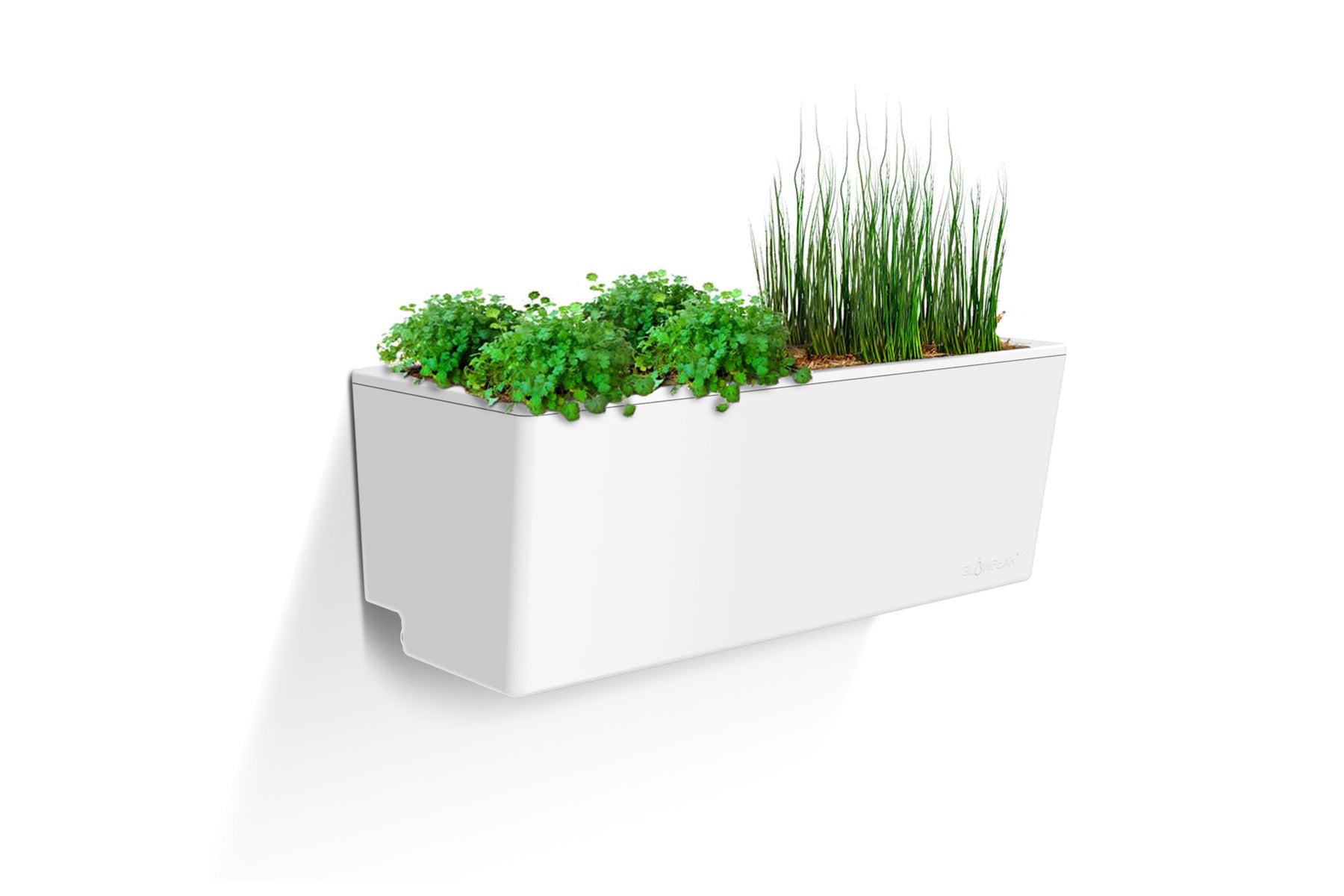 Glowpear Mini Wall Planter Self Watering Vertical Garden Planter