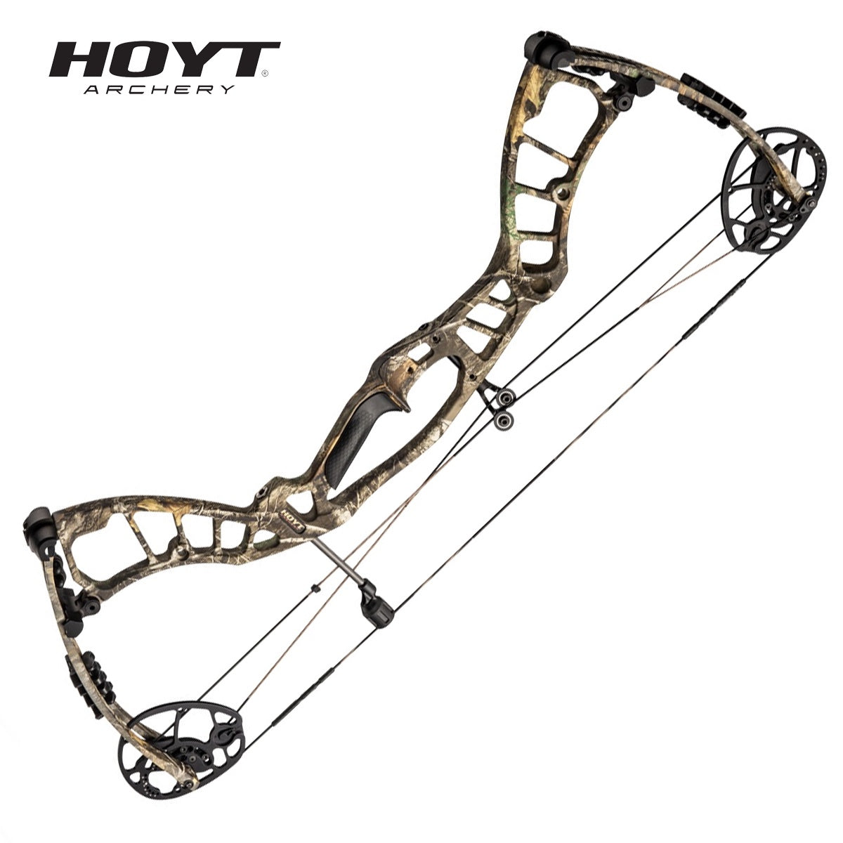 hoyt crossbow