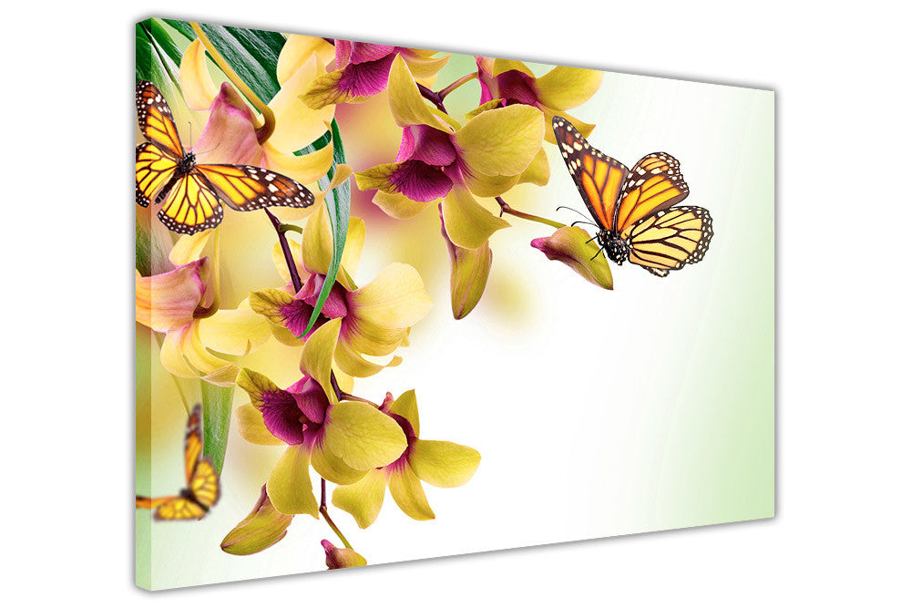 Download Yellow Flowers And Butterfly On Framed Canvas Pictures Wall Art Prints Floral Decoration Canvasitup